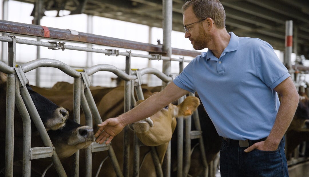 CubicFarms Announces New Feed as a Service Agreement with Crosswind Jerseys in South Dakota