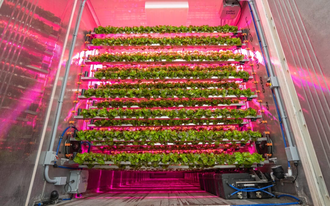 CubicFarm Data Shows its Systems Use 54% to 62% Less Energy Than Typical Vertical Farms